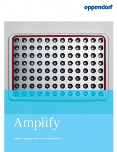 Брошюра - Amplify