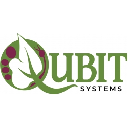Логотип «Qubit Systems»