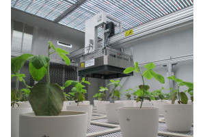 Системы фенотипирования растений PlantScreen и сканеры для них, Photon Systems