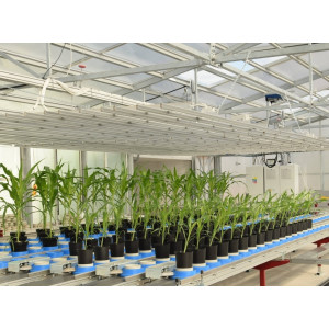 PlantScreen Modular System — система фенотипирования биообъектов растительного происхождения