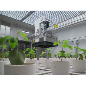 PlantScreen Robotic XYZ System — система фенотипирования биообъектов растительного происхождения