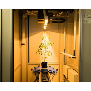 Hyperspectral Scanner — сканер гиперспектрального имиджинга для фенотипирования растений