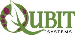 Логотип «Qubit Systems»