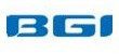 Логотип «BGI Group»