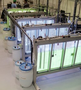 Фотобиореакторы большие для выращивания фотосинтезирующих микроорганизмов в контролируемых условиях, Photon Systems Instruments