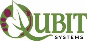 Логотип Qubit Systems