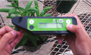 atLEAF+ Meter – портативный измеритель уровня хлорофилла в листьях, FT Green LLC