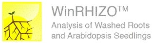 WinRHIZO – система для комплексного анализа морфологии корневой системы, Regent Instruments