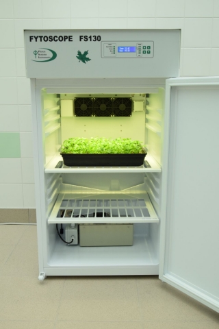 FytoScope FS 130 – камера (124 л) для выращивания растений в контролируемой среде, Photon Systems Instruments