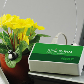 JUNIOR-PAM - универсальный компактный импульсный флуориметр, Heinz Walz GmbH
