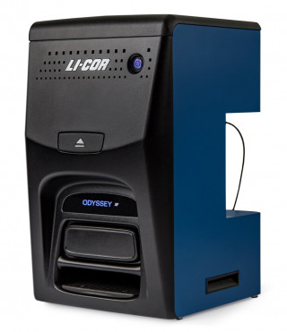 Odyssey XF – универсальная система для имаджинга белковых гелей и вестерн-блотов, LI-COR
