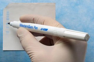 WesternSure Pen – фломастер для маркировки хемилюминесцентных блотов, LI-COR