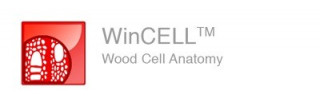 WinCELL – система для анализа анатомии клеток древесины, Regent Instruments