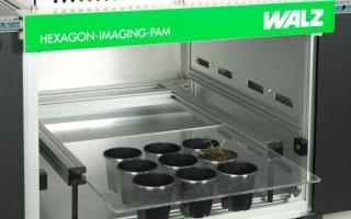 IMAG-HEX/PH - держатель для цветочных горшков, Heinz Walz GmbH