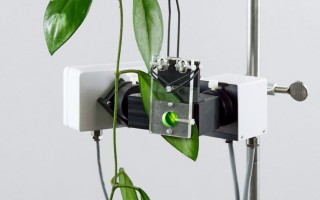 MCP-BK - Оптический модуль для работы с листьями, Heinz Walz GmbH