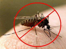 Ученые нашли маркеры малярии, позволяющие диагностировать заболевание на ранних сроках