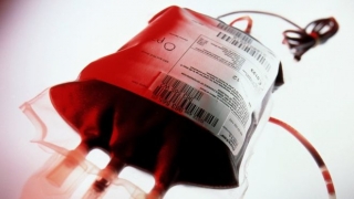 Лабораторное оборудование «научилось» создавать кровь
