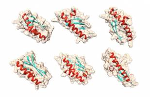 Учёные из США представили новую технологию секвенирования белков