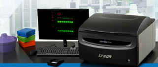 Компания LI-COR предлагает демонстрацию возможностей своих систем имаджинга в режиме онлайн!