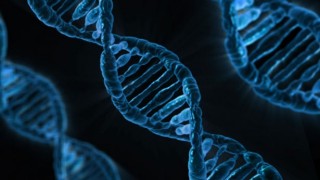 Японцы создали искусственную ДНК, способную воспроизводиться вне клетки