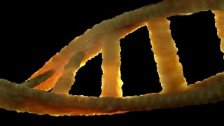 Американская нейросеть секвенировала геном ДНК всего за 5 часов