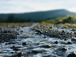 Малые реки Томской области помогли учёным сделать открытие