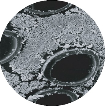 Фрагмент картриджа Hollow Fibers системы FiberCell в разрезе, демонстрирующий высокую плотность роста клеток в межволоконном пространстве